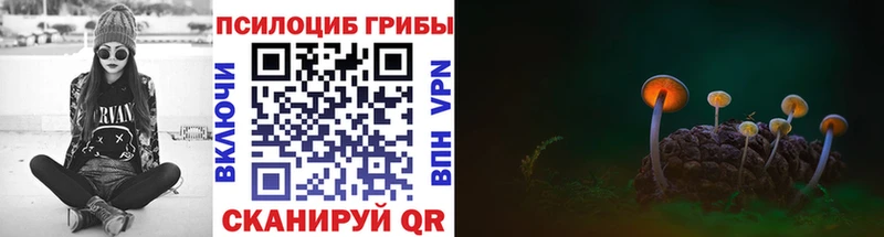 Купить закладки Камышлов Псилоцибиновые грибы ЛСД